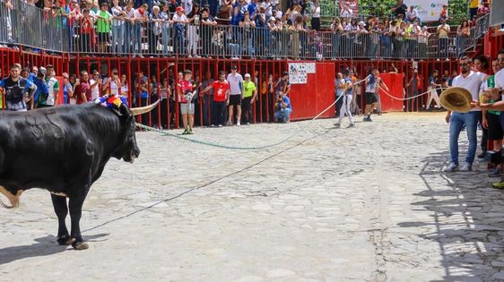 Exhibición turisana en el congreso de Grazalema.