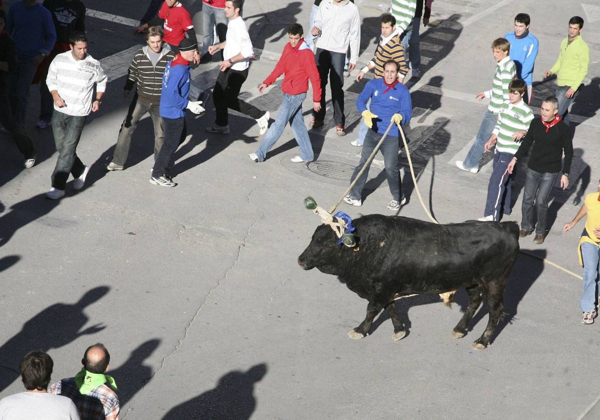 Celebración de un espectáculo de toro con cuerda.