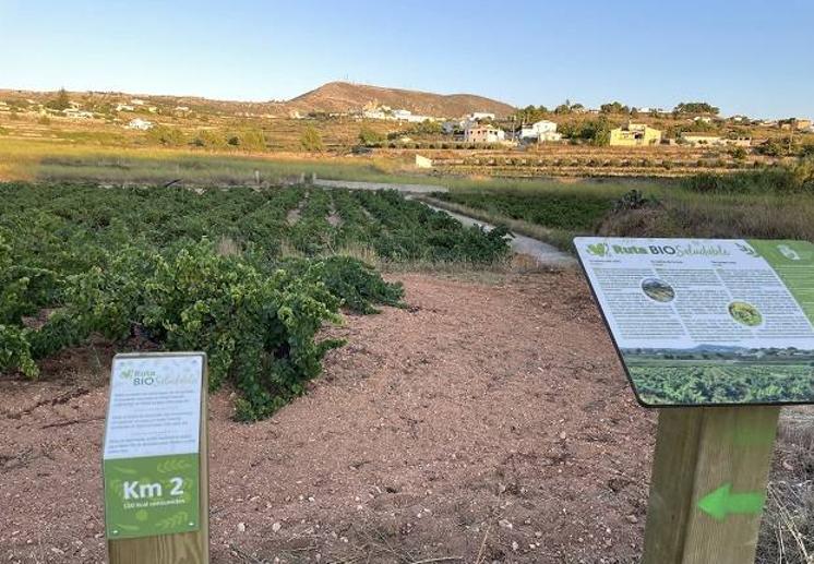 Imagen principal - Ruta de senderismo en Benitatxell, Alicante