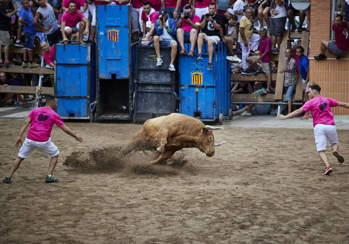 Una fiesta de bous al carrer en una imagen de archivo.