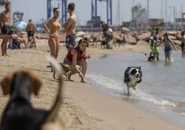 Playa can ubicada en Pinedo, que ha entrado este jueves en servicio.