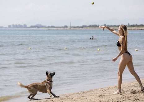 Imagen secundaria 1 - Asistentes este jueves a la playa destinada a perros en Pinedo.