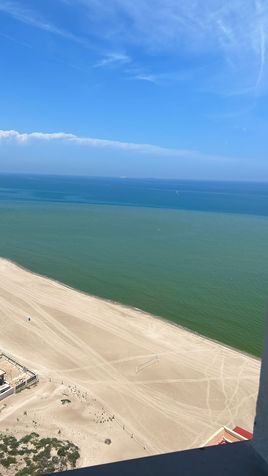 La mancha verde en el agua junto a la arena de la playa del Perellonet.