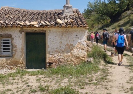 Imagen secundaria 1 - Imágenes de la ruta, con patos, ruinas y una frondosa vegetación.