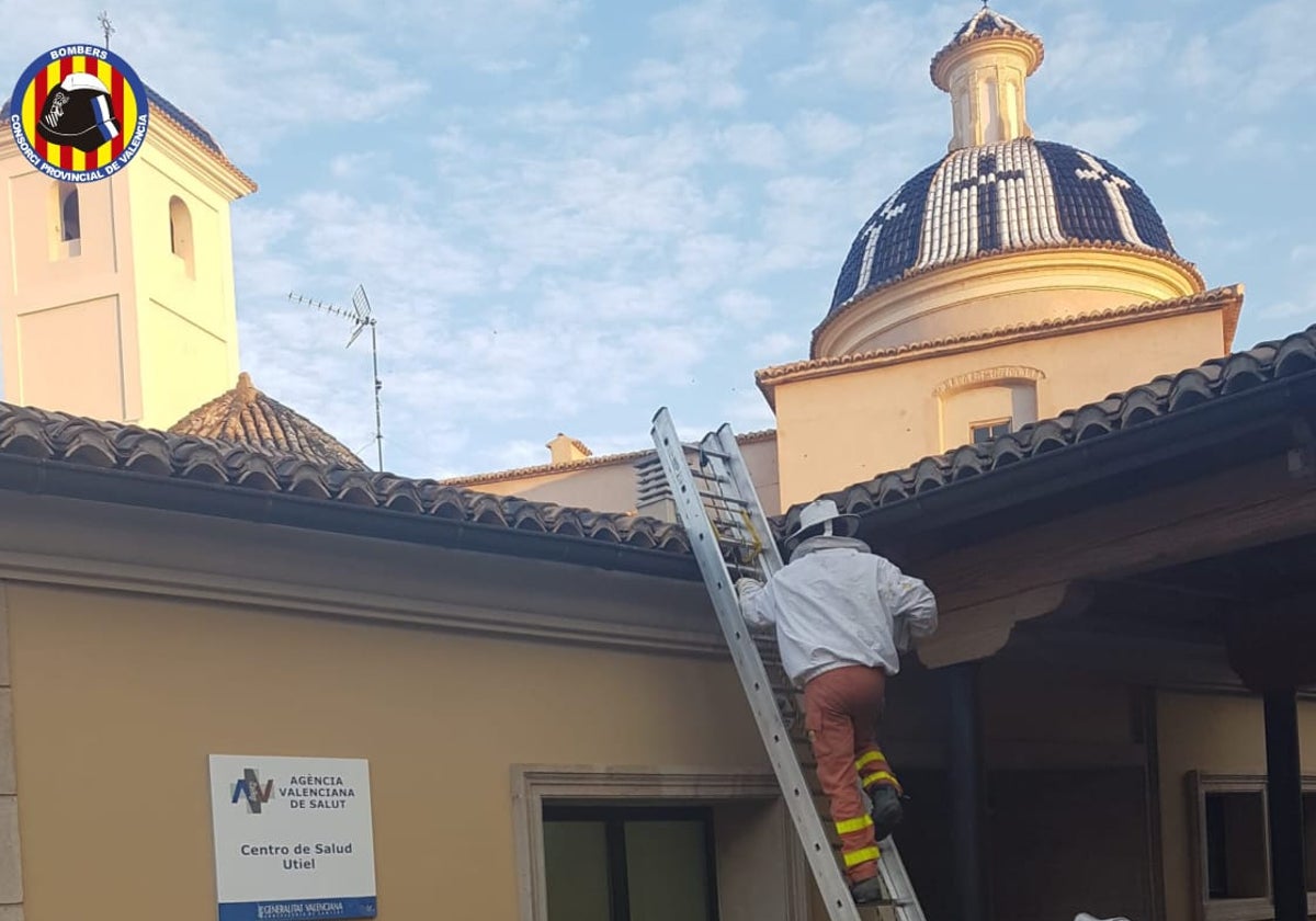 Un bombero sube por una escalera para retirar el enjambre.