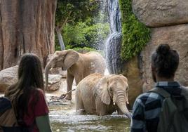 BIOPARC Valencia