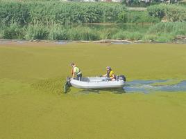 Técnicos de la CHJ inspeccionando el río.