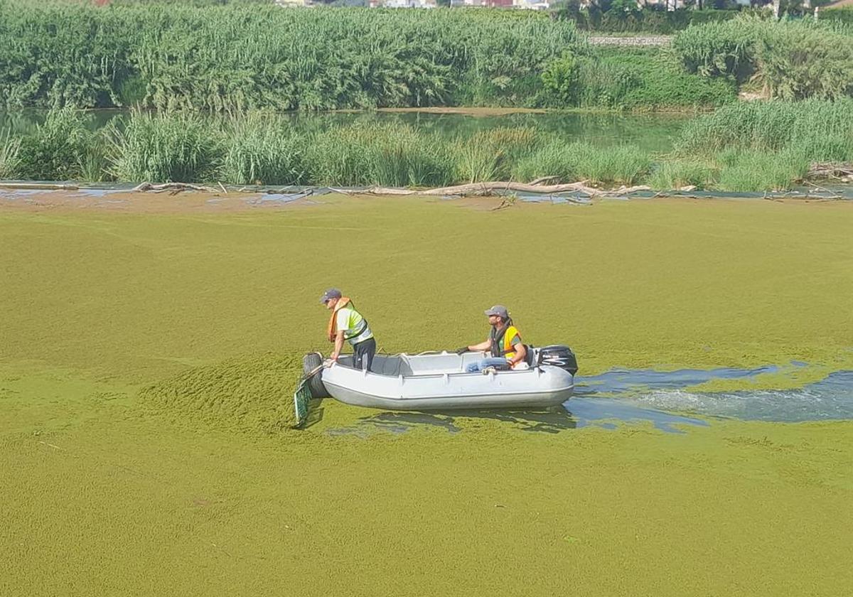 Técnicos de la CHJ inspeccionando el río.