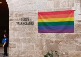 La bandera LGTBI, en la fachada de Les Corts.