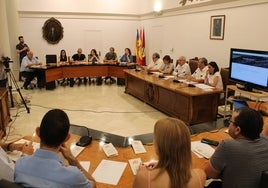 Primer pleno de la nueva legislatura, con los ediles de PP y Vox al fondo.