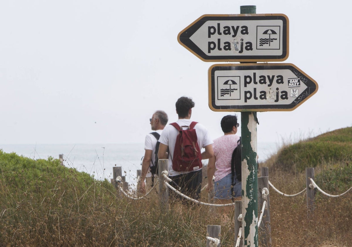 Varias personas acceden a la playa del Saler.