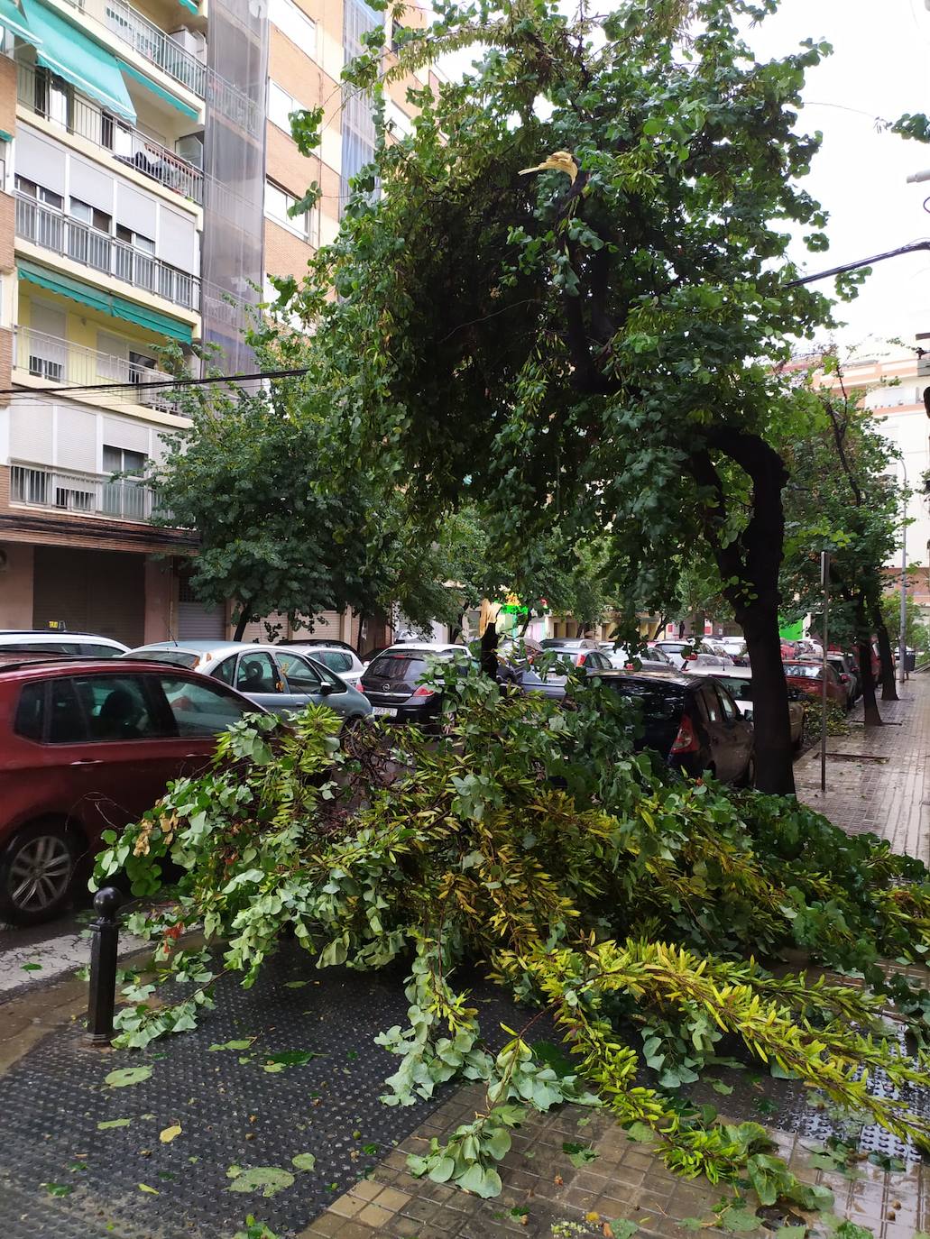 Una fuerte granizada origina el caos en Valencia este lunes