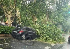 Un árbol caído encima de un coche en la Avenida Fernando el Católico