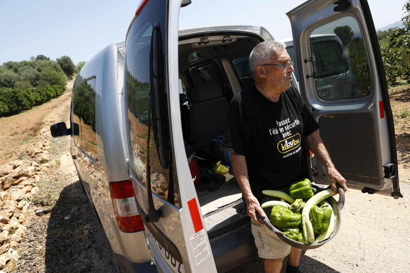 La granizada arrasa cosechas en el campo valenciano