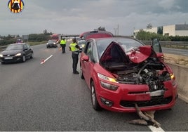 La cabra bajo el vehículo por el que fue embestida.