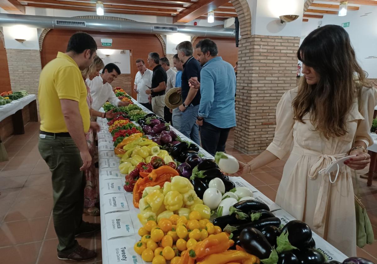 Exposición de productos en el Centro de Experiencias Cajamar.