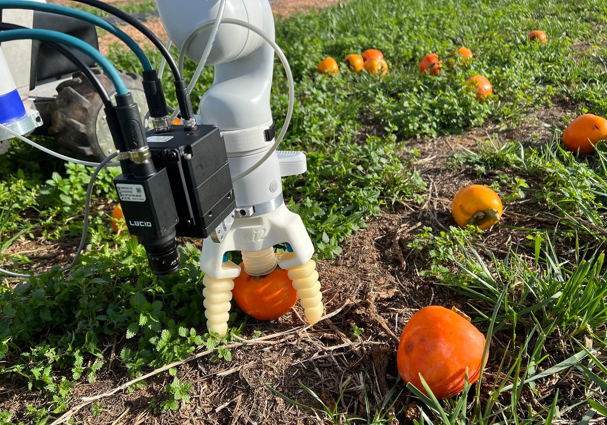 Un sistema autónomo para recoger fruta con inteligencia artificial