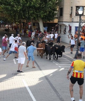 Imagen secundaria 2 - Imágenes del cuhpinazo, los bous a la mar y la entrada de toros del sábado.