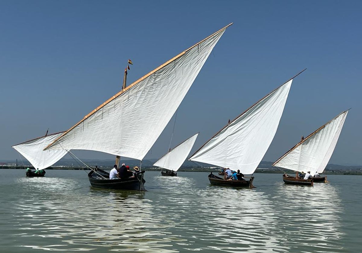 Barcas en la albufera.