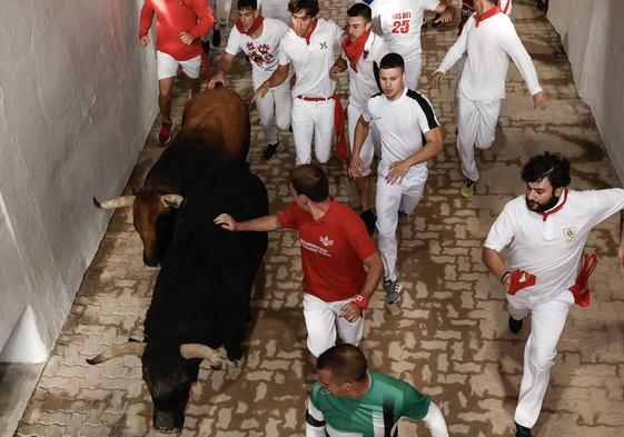 Los toros de Jandilla protagonizan el sexto encierro de Sanfermines.