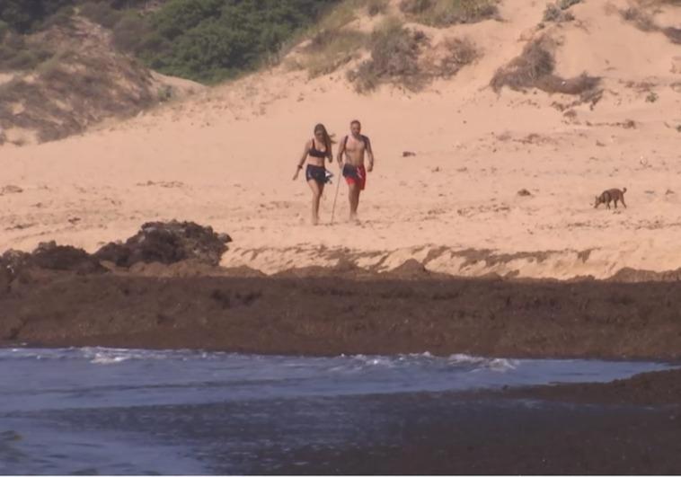 Una barrera de algas separa el mar de la arena en Cádiz.