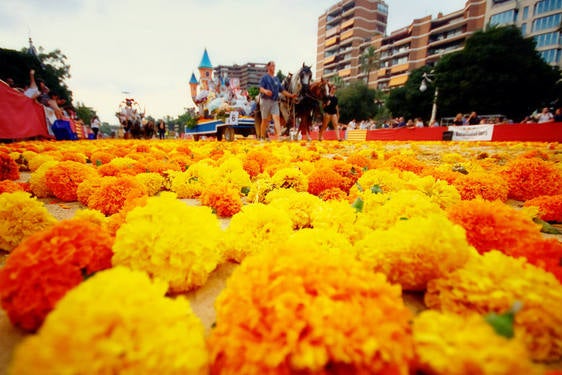 Clavellones empleados en una Batalla de Flores, en la Alameda.