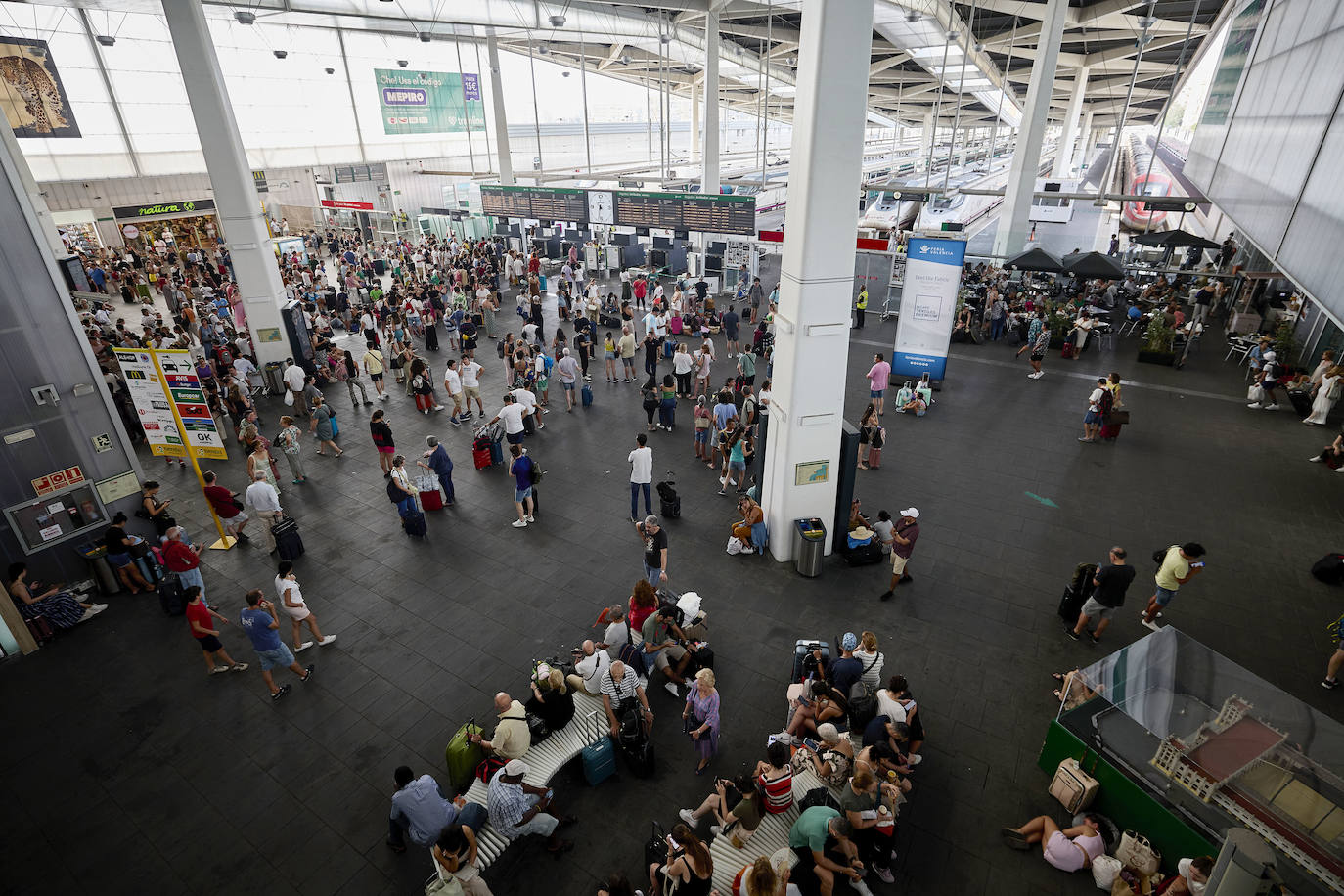 Fotos: caos en la estación Joaquín Sorolla por la suspensión de trenes entre Valencia y Madrid