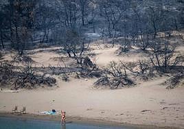 Las espectaculares imágenes del incendio de Grecia