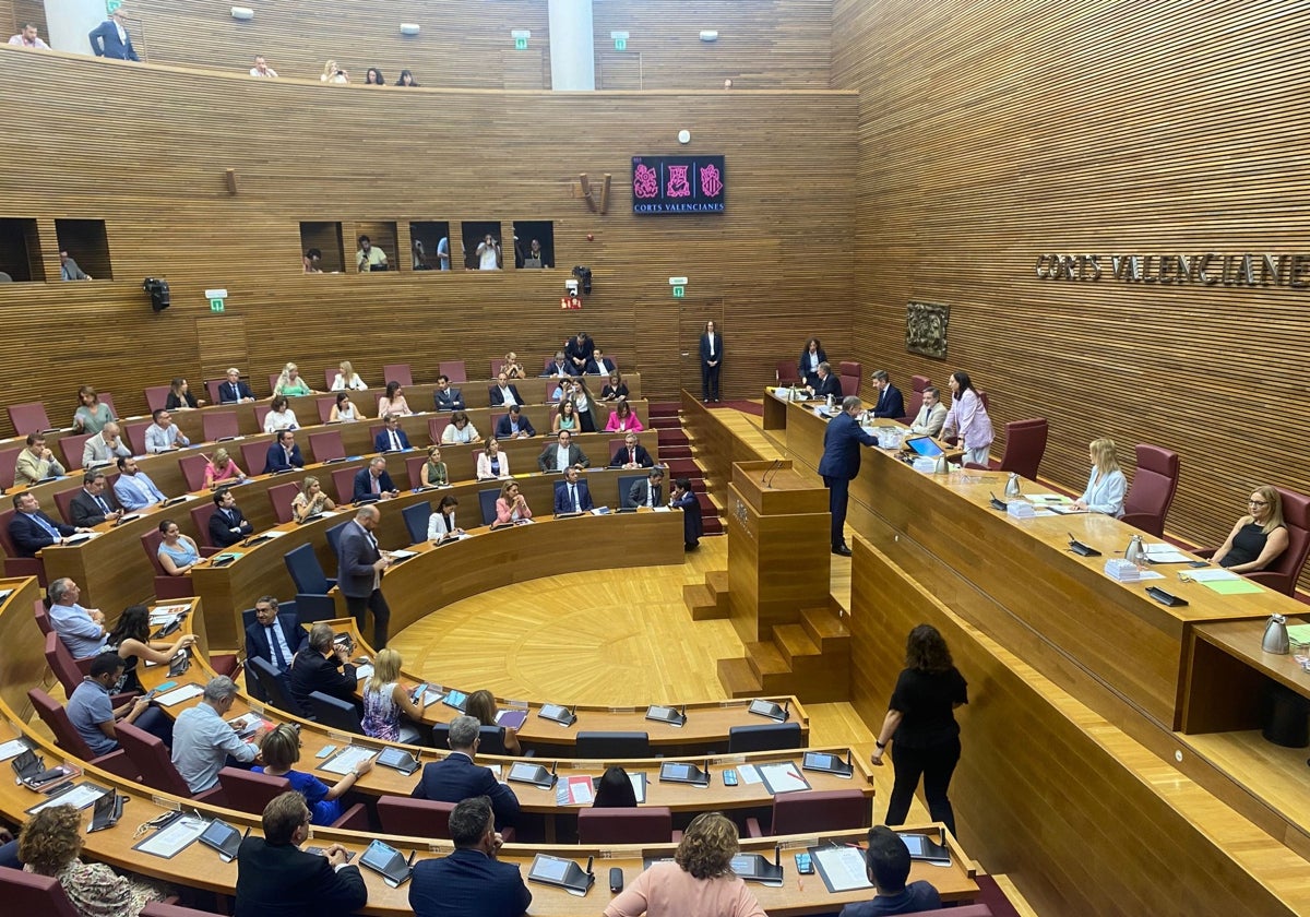 Pleno de votación de los senadores territoriales.