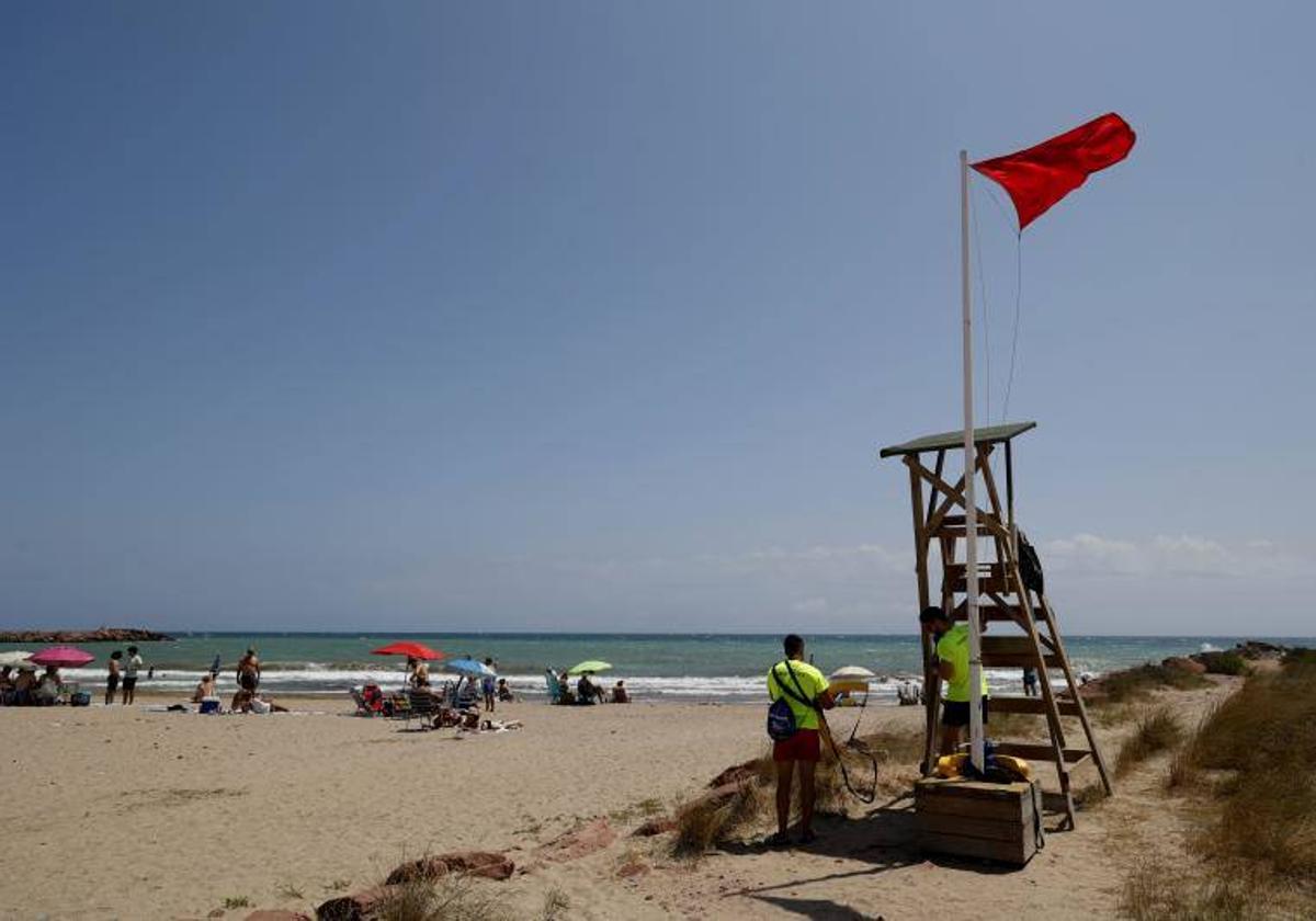 Bandera roja en la playa