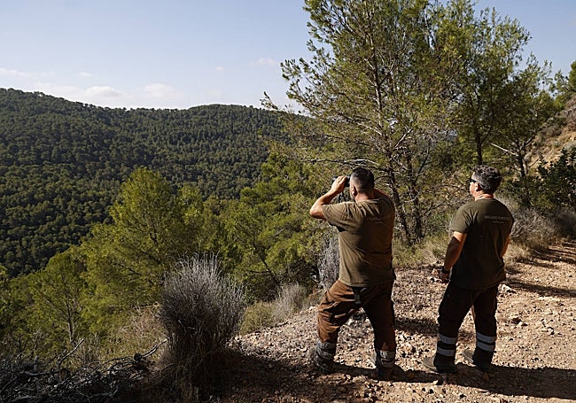 Trabajos de prevención de incendios de los agentes forestales.