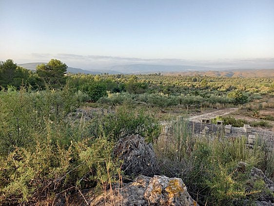 Sumacàrcer se opone a la instalación de una planta solar que ocupará 250 hectáreas