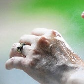 Los repelentes que no sirven para evitar las picaduras de los mosquitos