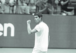 Carlos Alcaraz celebra un punto en la pasada Copa Davis disputada en la Fuente de San Luis.