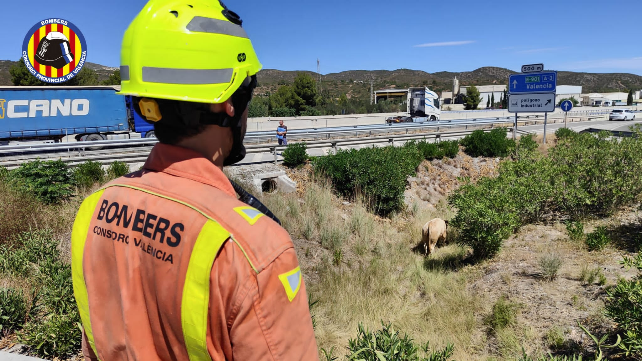 Un camión con toros vuelca en la A-3 hacia Valencia