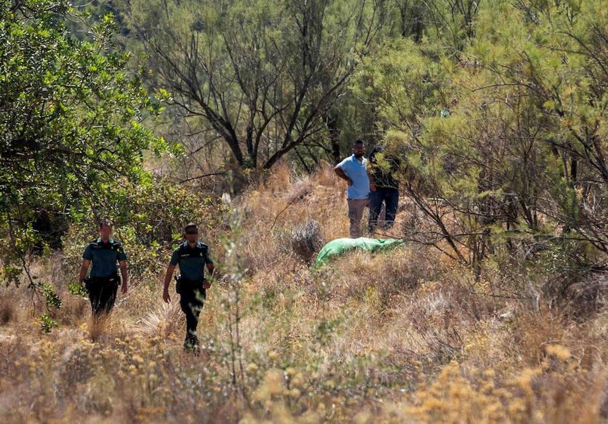 Uno de los novillos abatidos tras el accidente en la A-3.