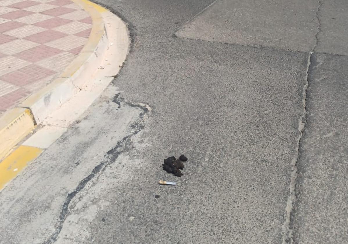 Muestra recogida en una de las calles de Almussafes.