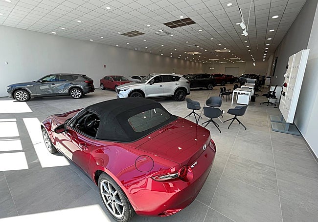 Zona de exposición con las últimas novedades.