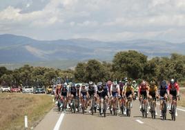 Varios ciclistas durante una etapa de la Vuelta.