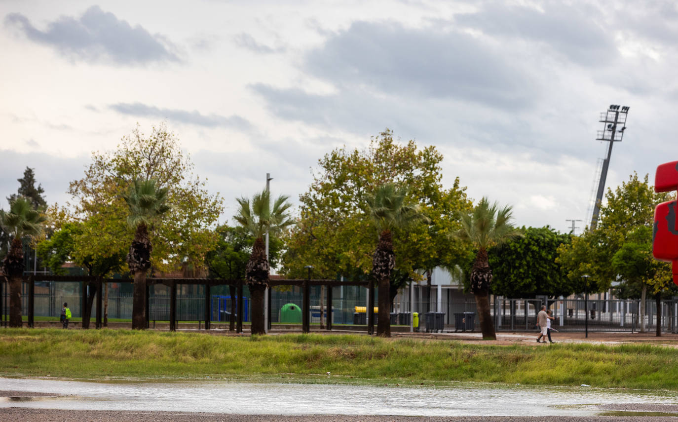 Los efectos del temporal en la Comunitat, en imágenes