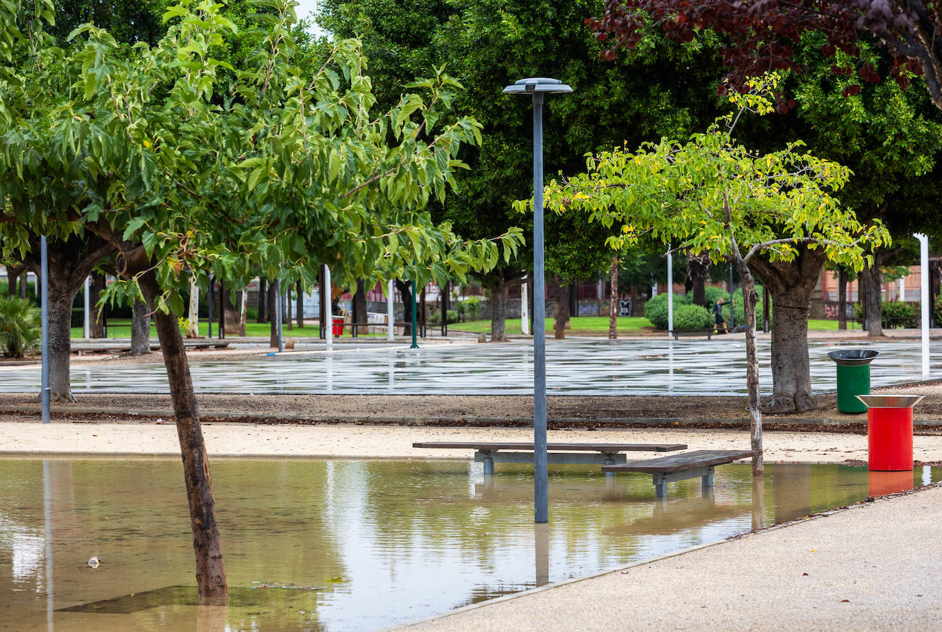 Los efectos del temporal en la Comunitat, en imágenes