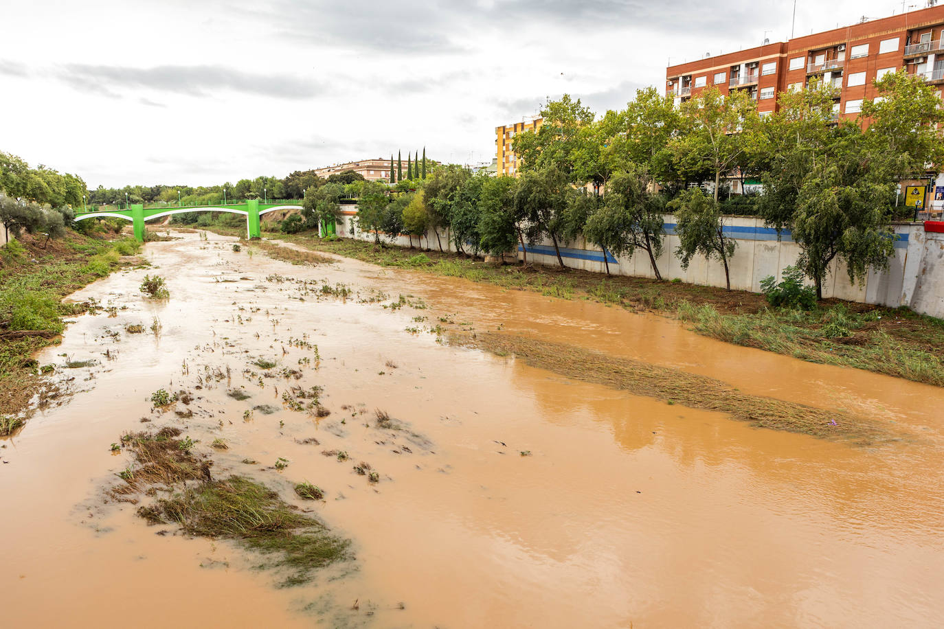 Los efectos del temporal en la Comunitat, en imágenes