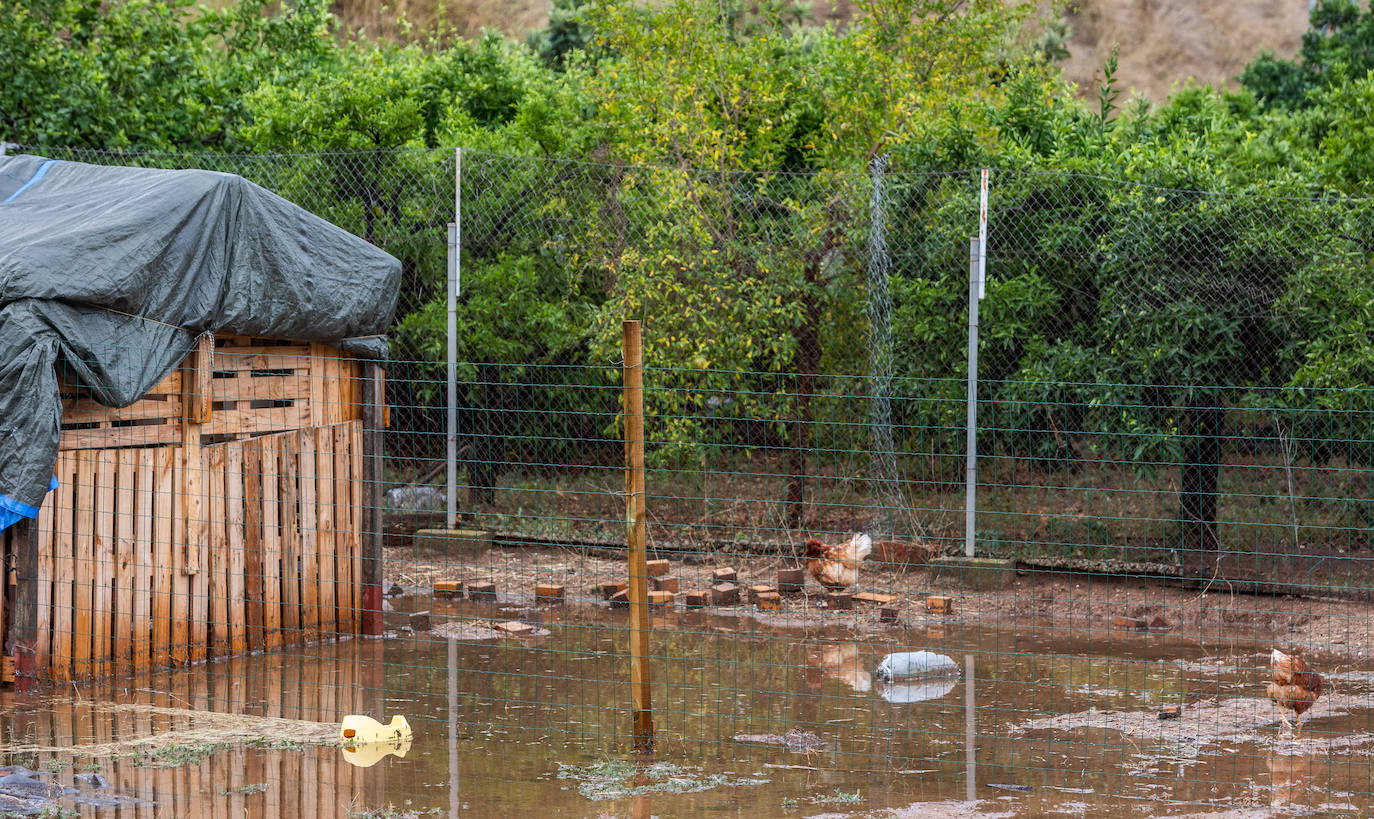 Los efectos del temporal en la Comunitat, en imágenes