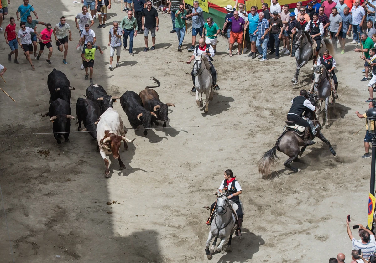 Un caballo cae en el encuentro con los toros en la segunda entrada de  Segorbe | Las Provincias