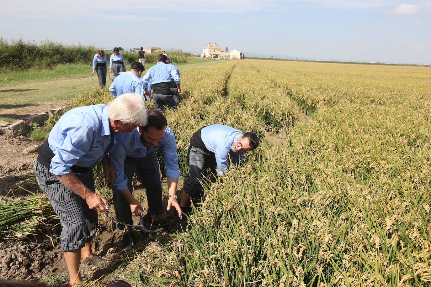 Mario Sandoval y Quique Dacosta, acompañados de Voro, uno de los agricultores que les enseñó el arte de la siega.