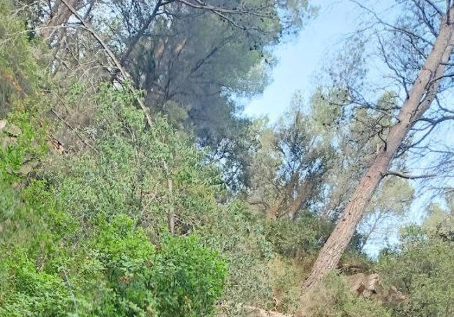 Maravillosas vistas de la Calderona.