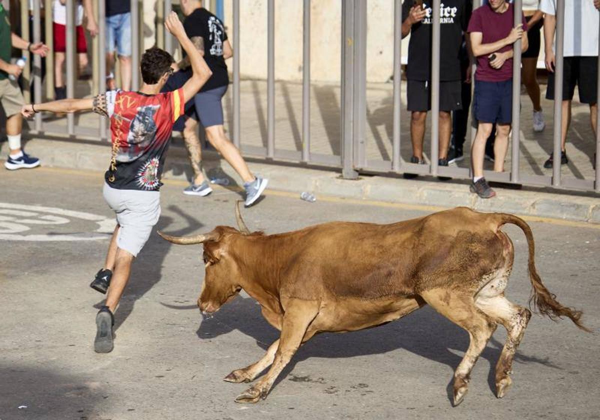 Los bous al carrer vuelven a Valencia