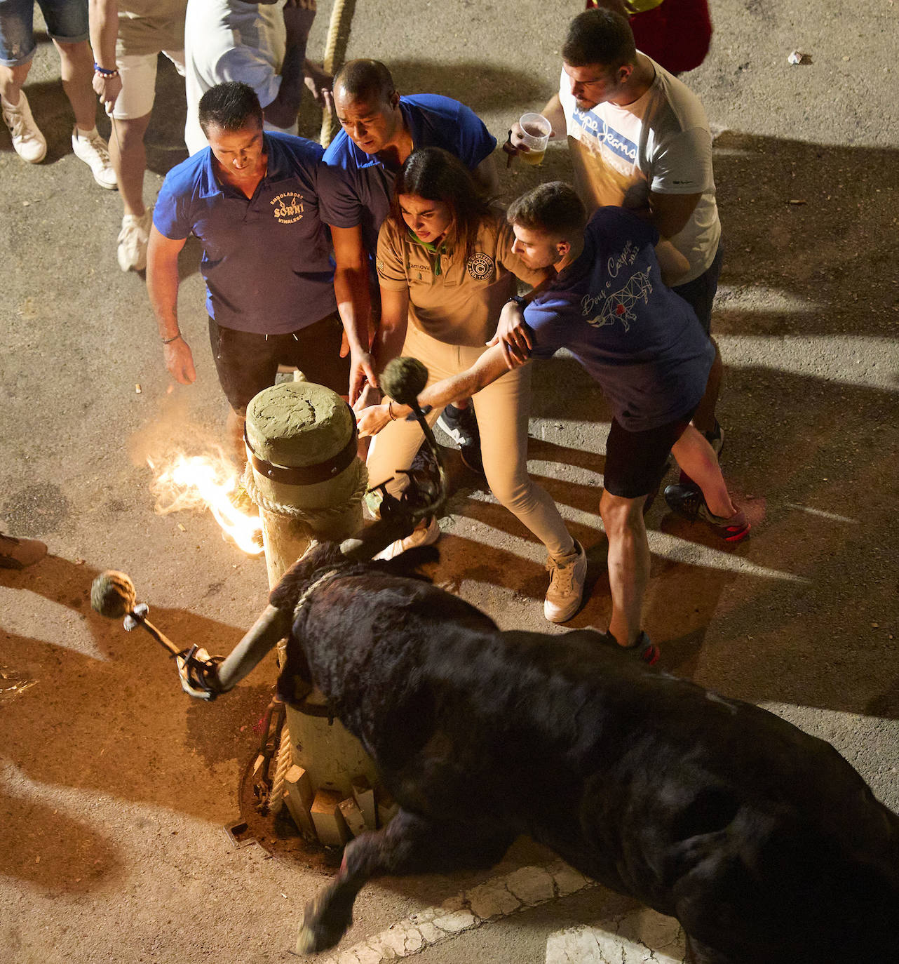 Los bous al carrer vuelven a Valencia