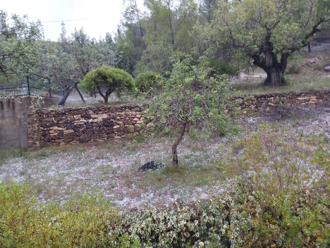 Los bous al carrer vuelven a Valencia