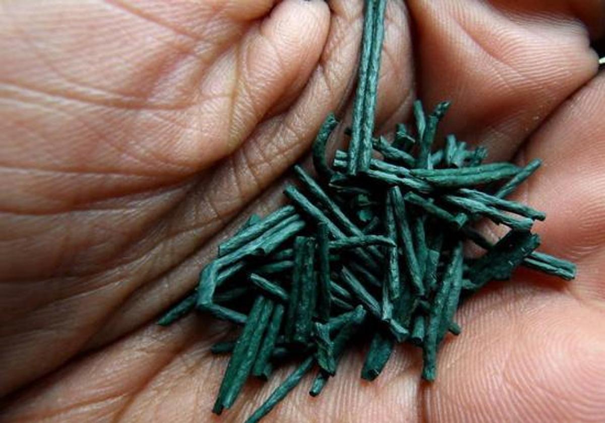 Espirulina.